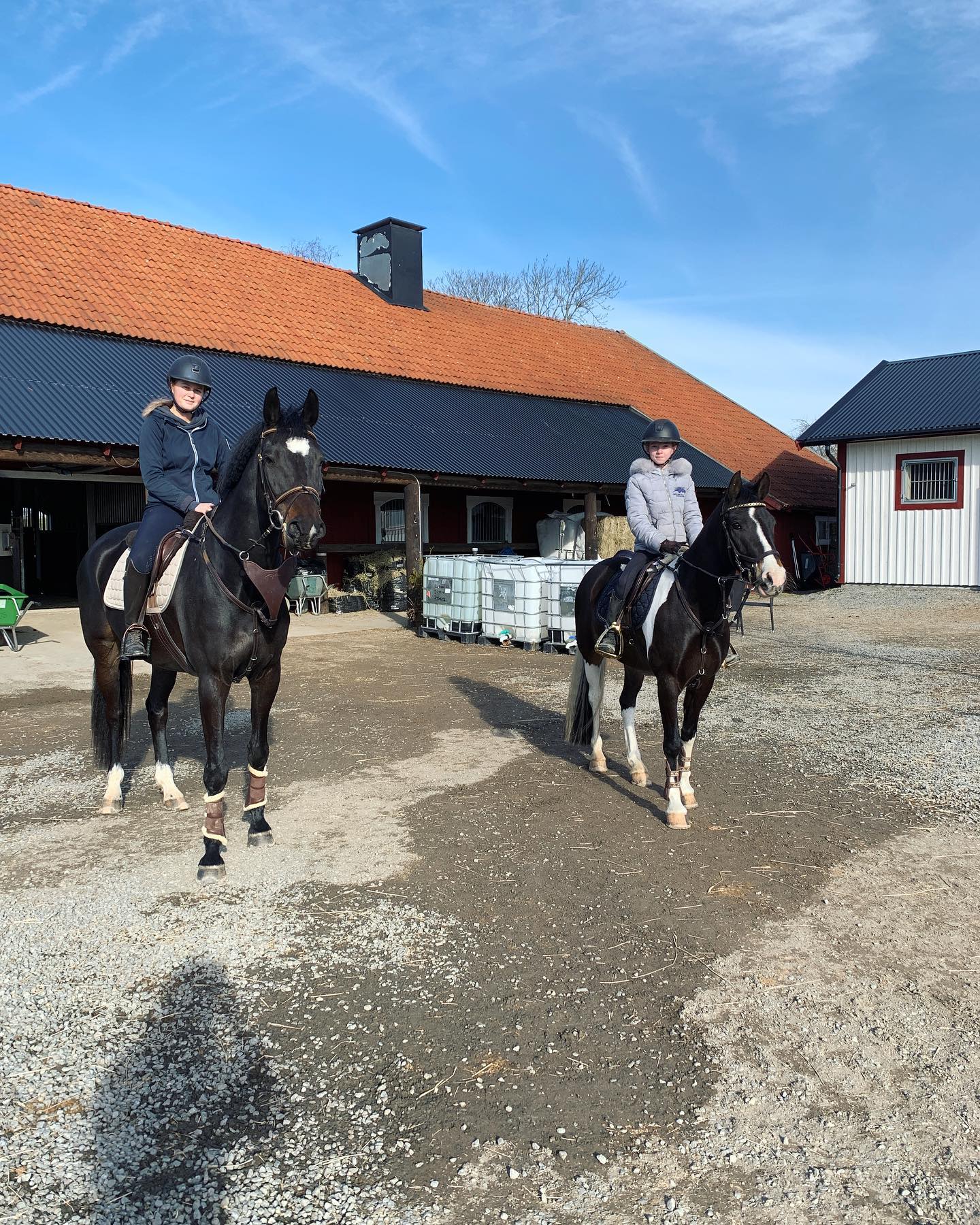 ungdomar på häst